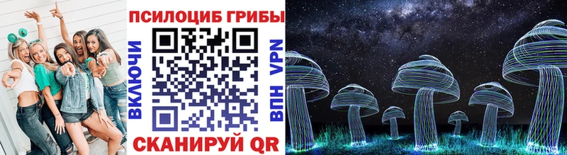 Галлюциногенные грибы Psilocybine cubensis  Великий Устюг 